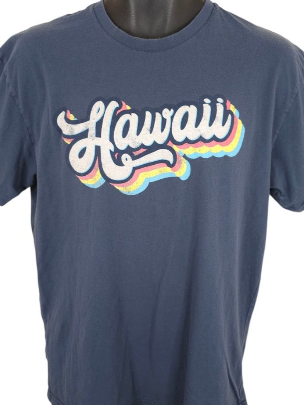 Hawaii T Shirt Mens Size Large Blue Gray Surfer Hawaiian Travel Destination Tee
